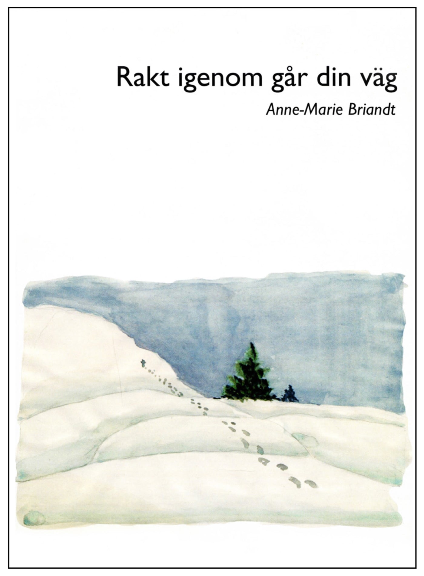 Rakt igenom går din väg – E-bok