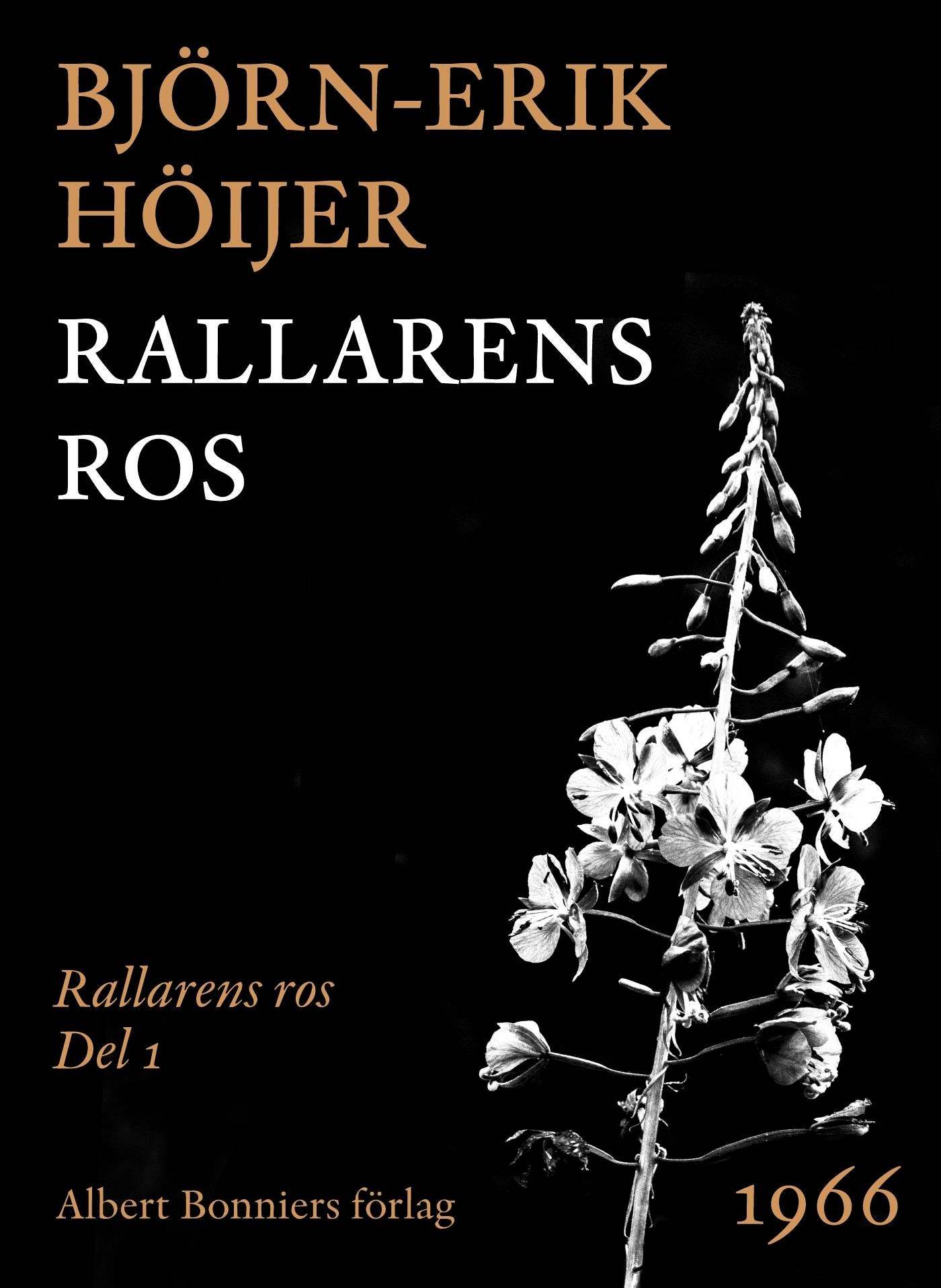 Rallarens ros – E-bok