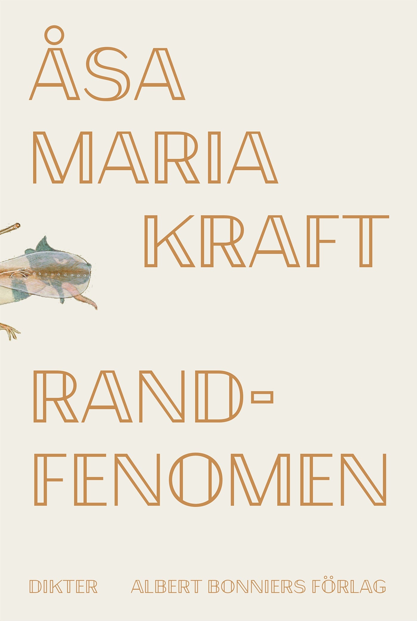 Randfenomen – E-bok