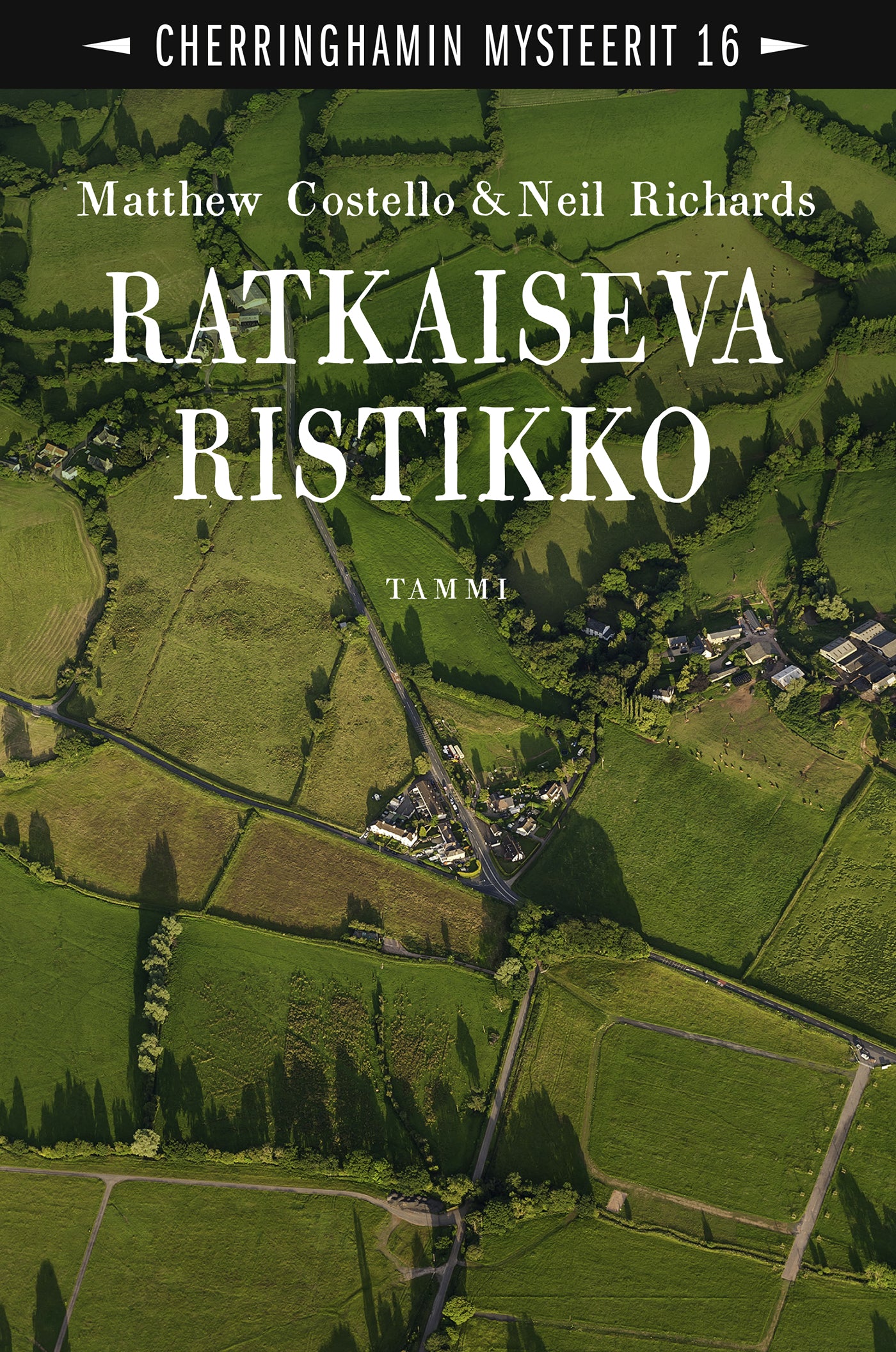 Ratkaiseva ristikko – E-bok