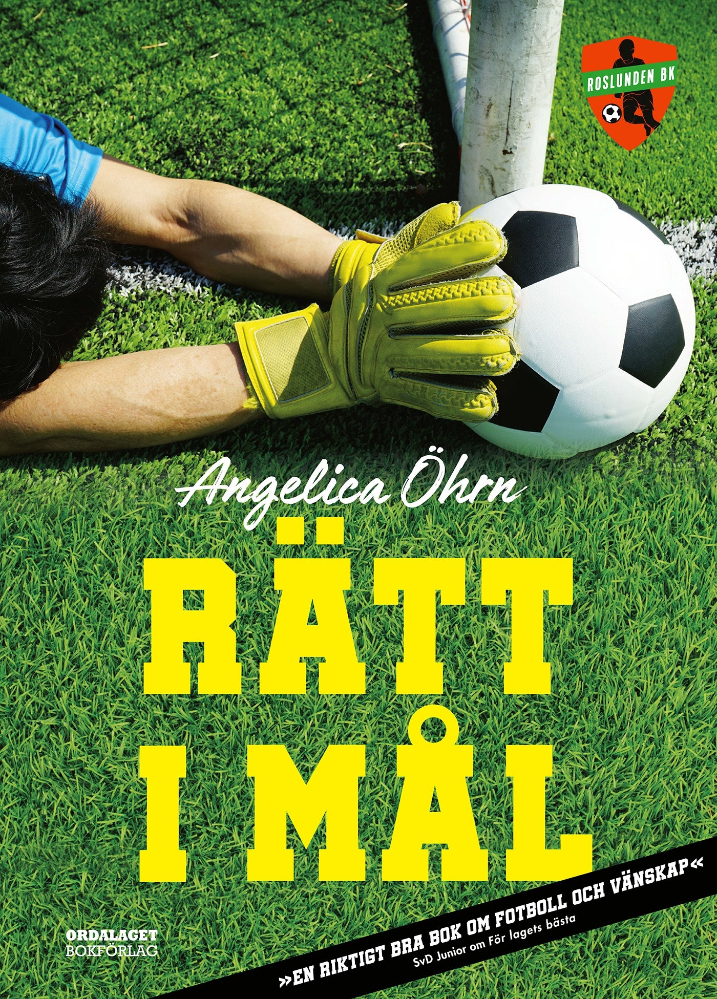 Rätt i mål – E-bok