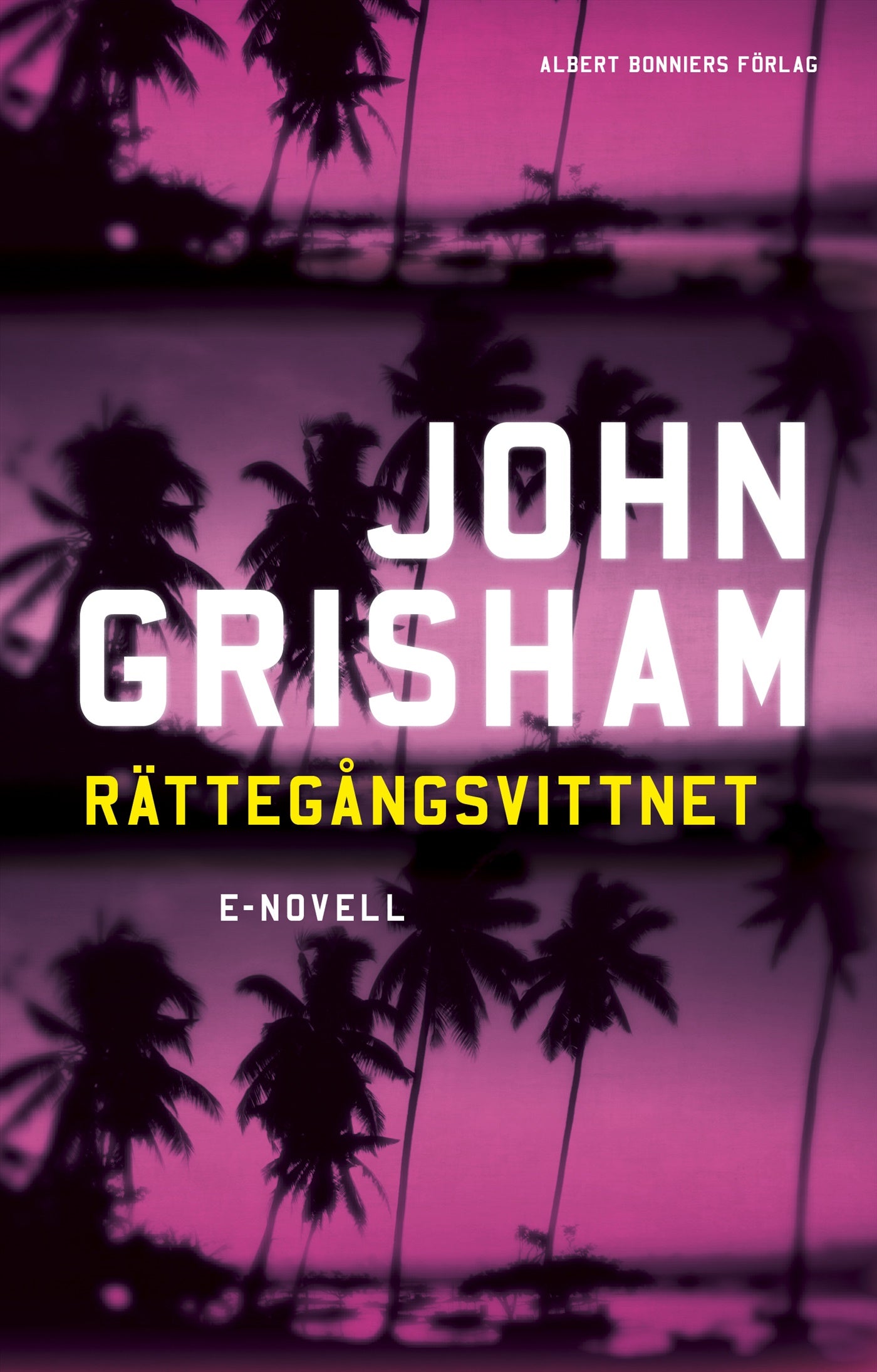 Rättegångsvittnet – E-bok
