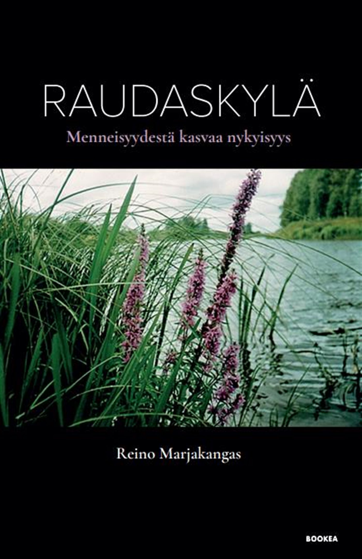 Raudaskylä : menneisyydestä kasvaa nykyisyys – E-bok