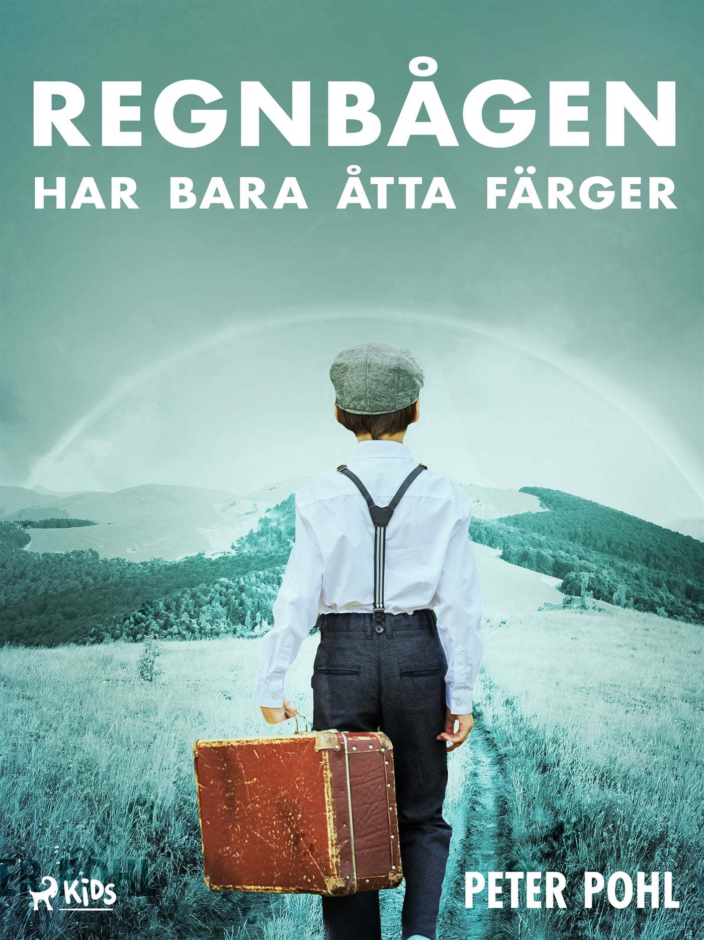 Regnbågen har bara åtta färger – E-bok