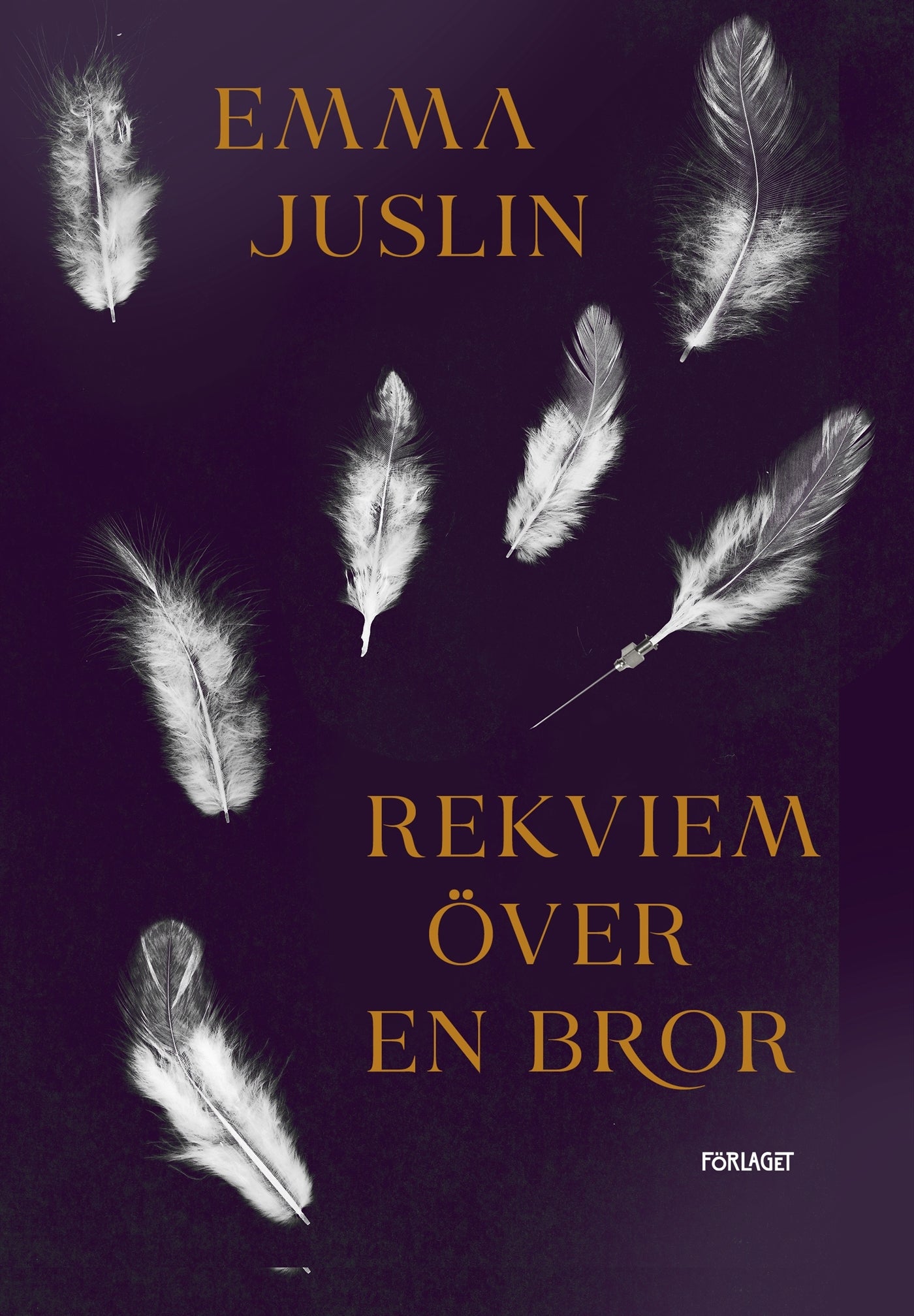 Rekviem över en bror – E-bok