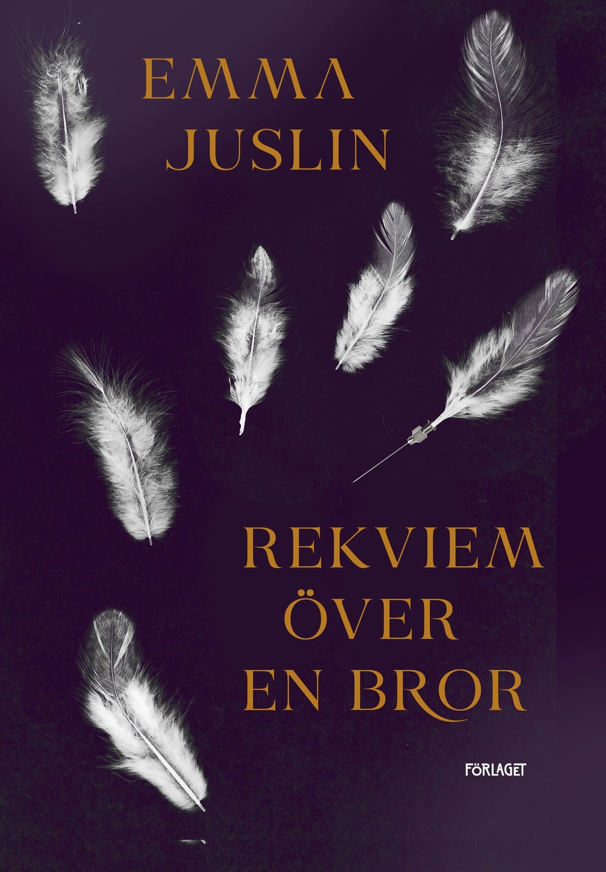 Rekviem över en bror – E-bok