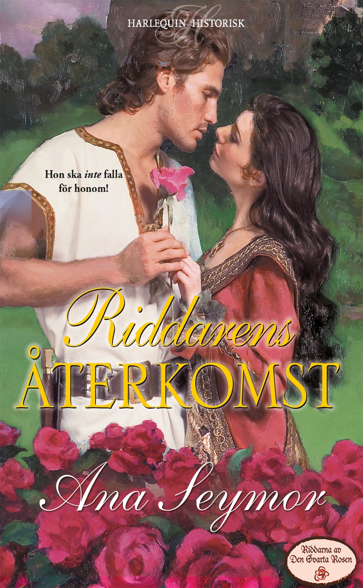 Riddarens återkomst – E-bok