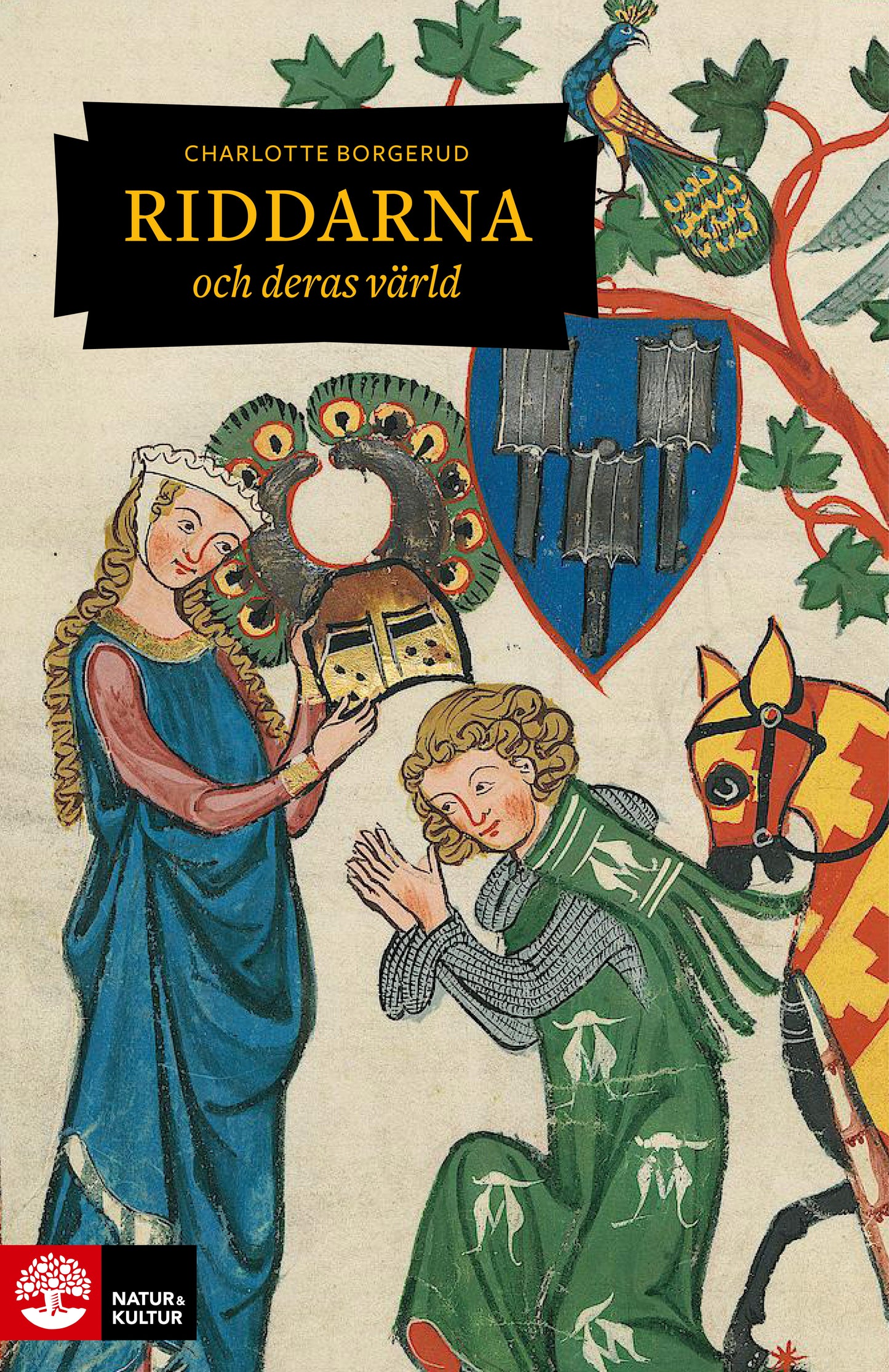 Riddarna och deras värld – E-bok