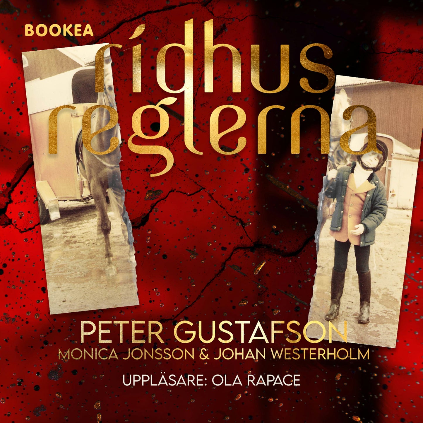 Ridhusreglerna – Ljudbok