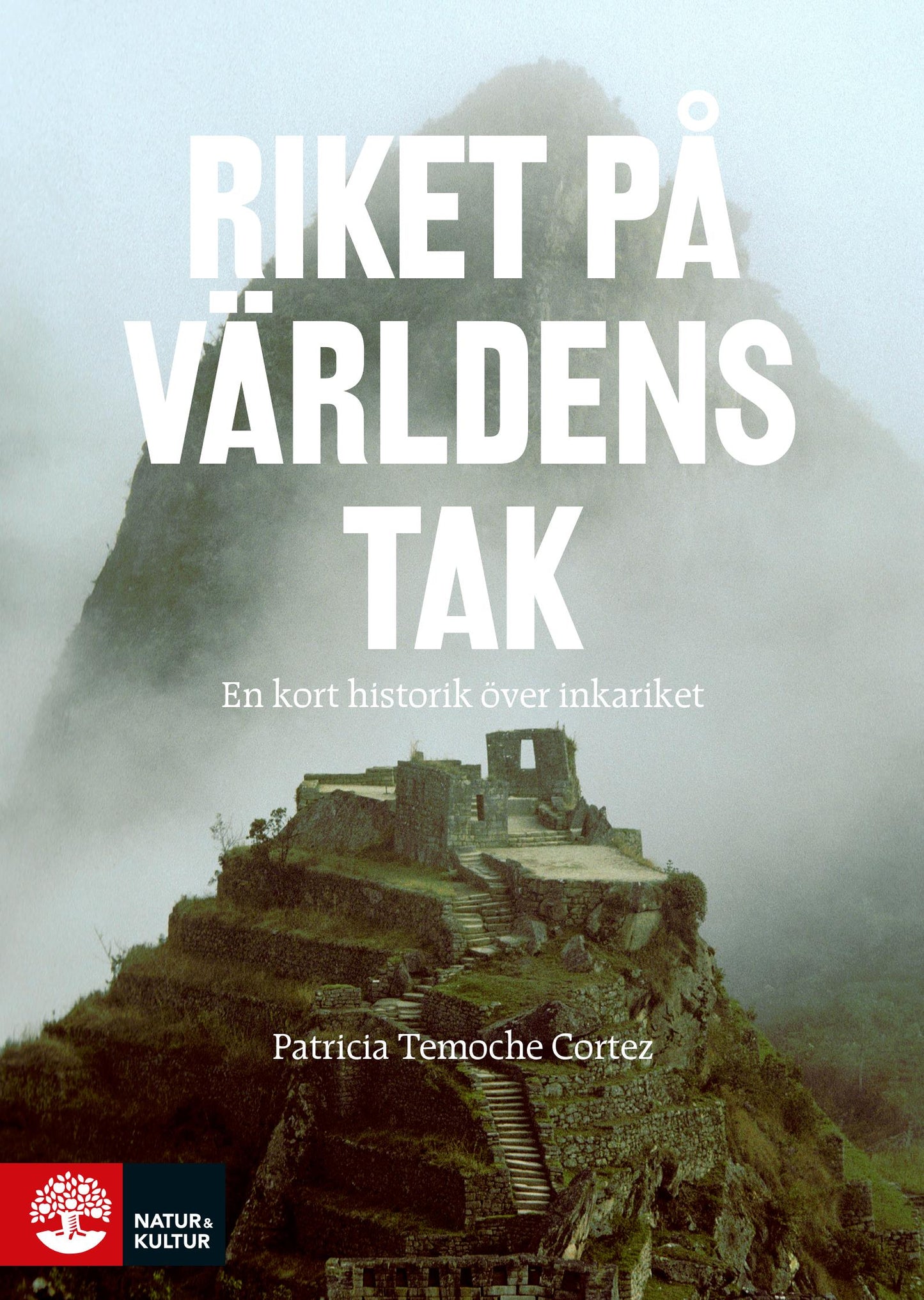 Riket på världens tak – E-bok