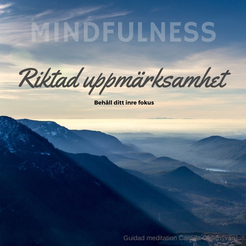 Riktad Uppmärksamhet – Ljudbok