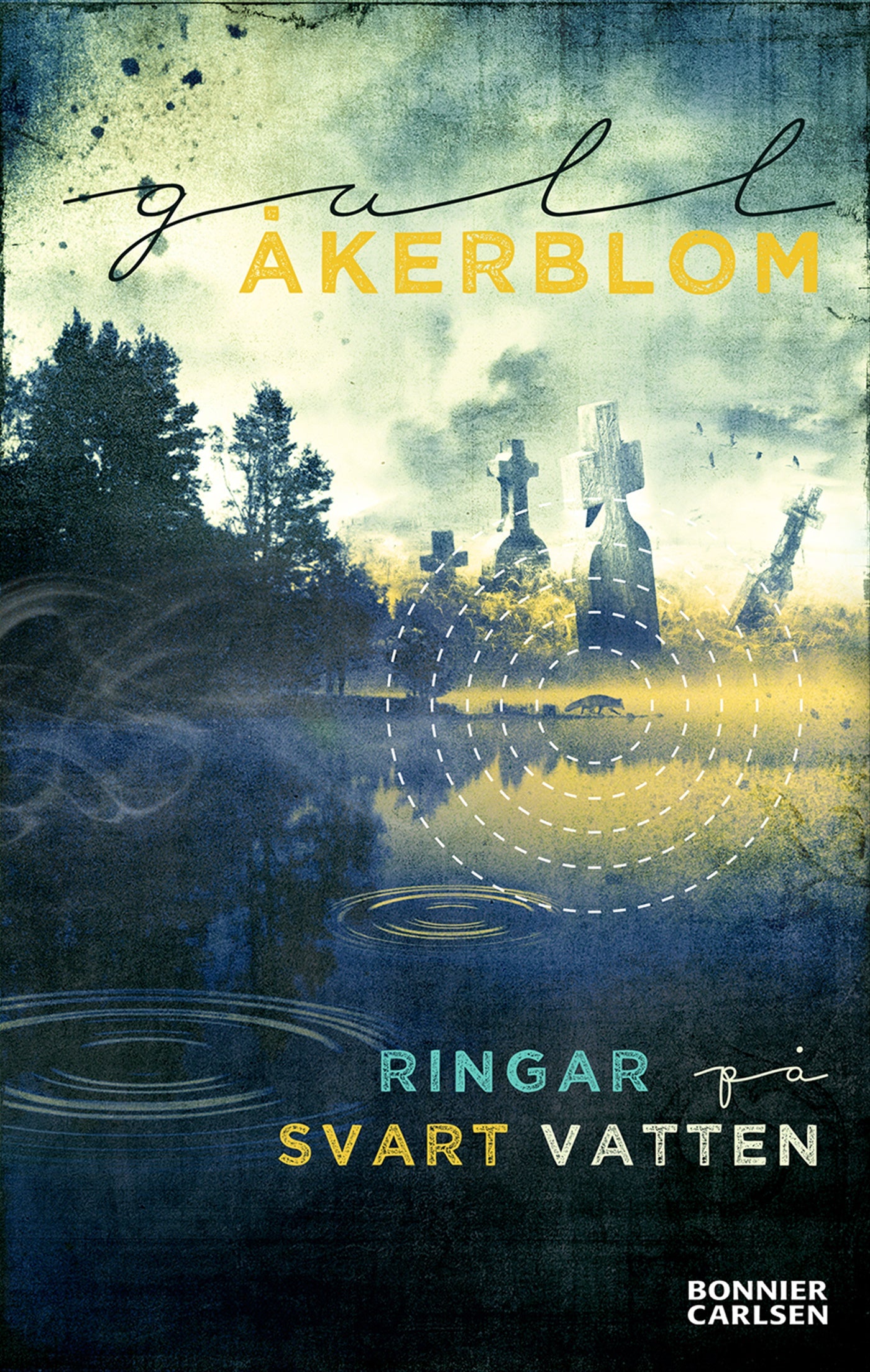 Ringar på svart vatten – E-bok