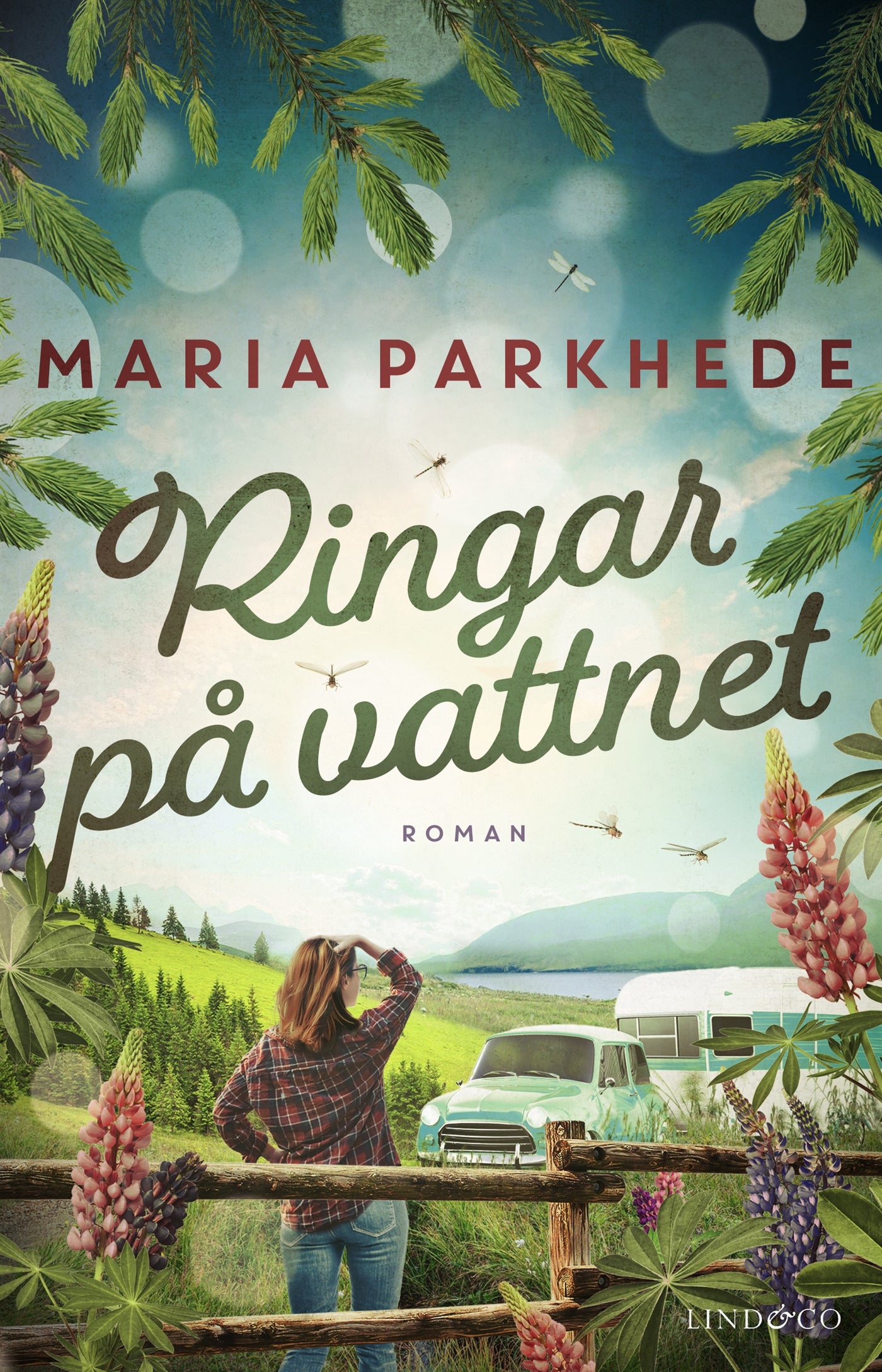 Ringar på vattnet – E-bok