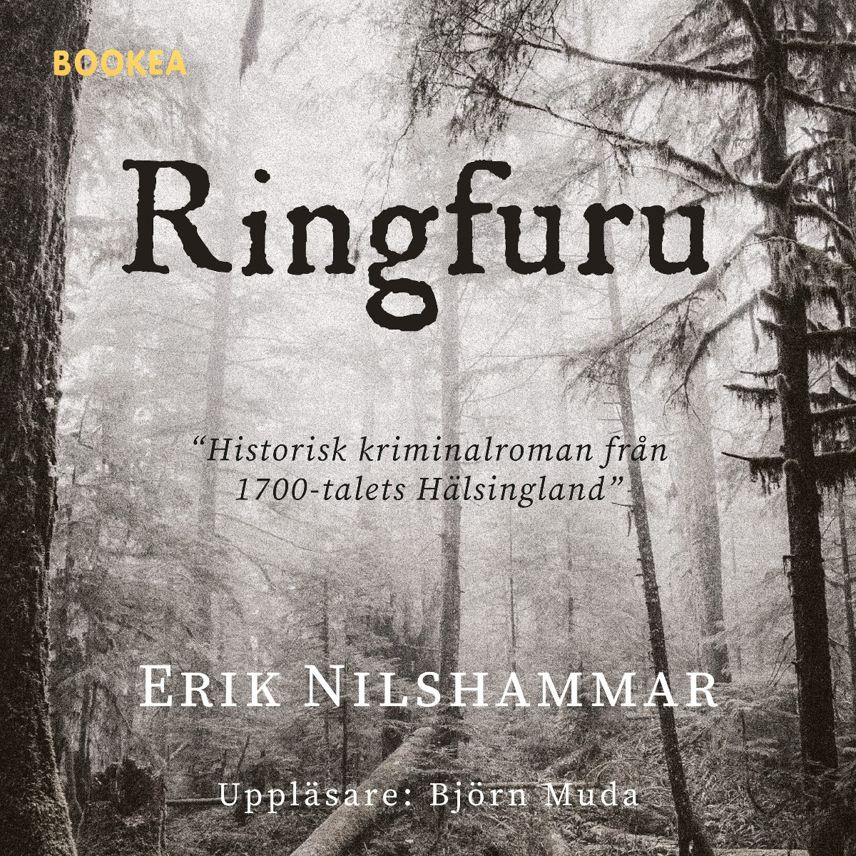 Ringfuru – Ljudbok