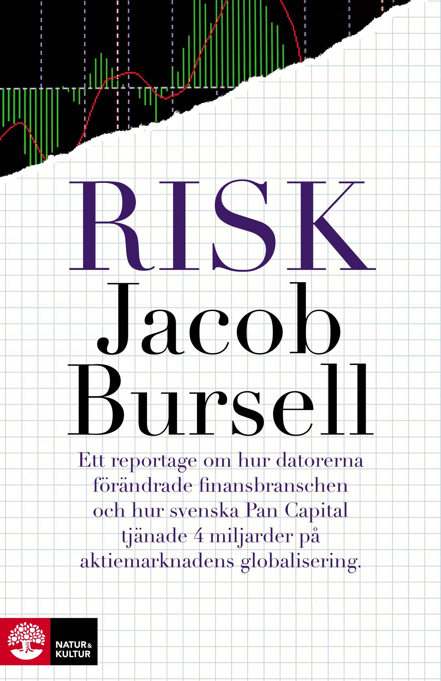 Risk – E-bok