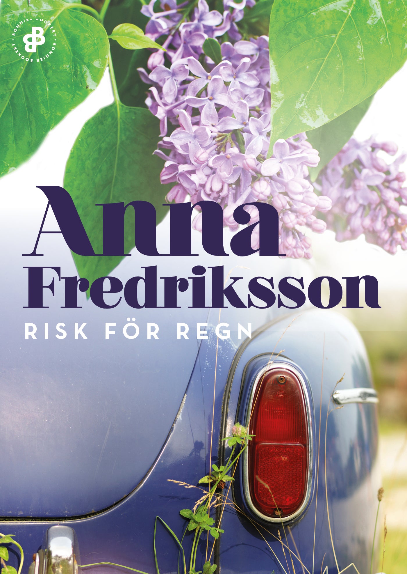Risk för regn – E-bok