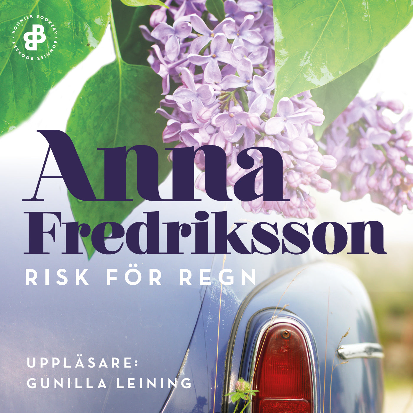 Risk för regn – Ljudbok