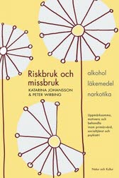 Riskbruk och missbruk – E-bok