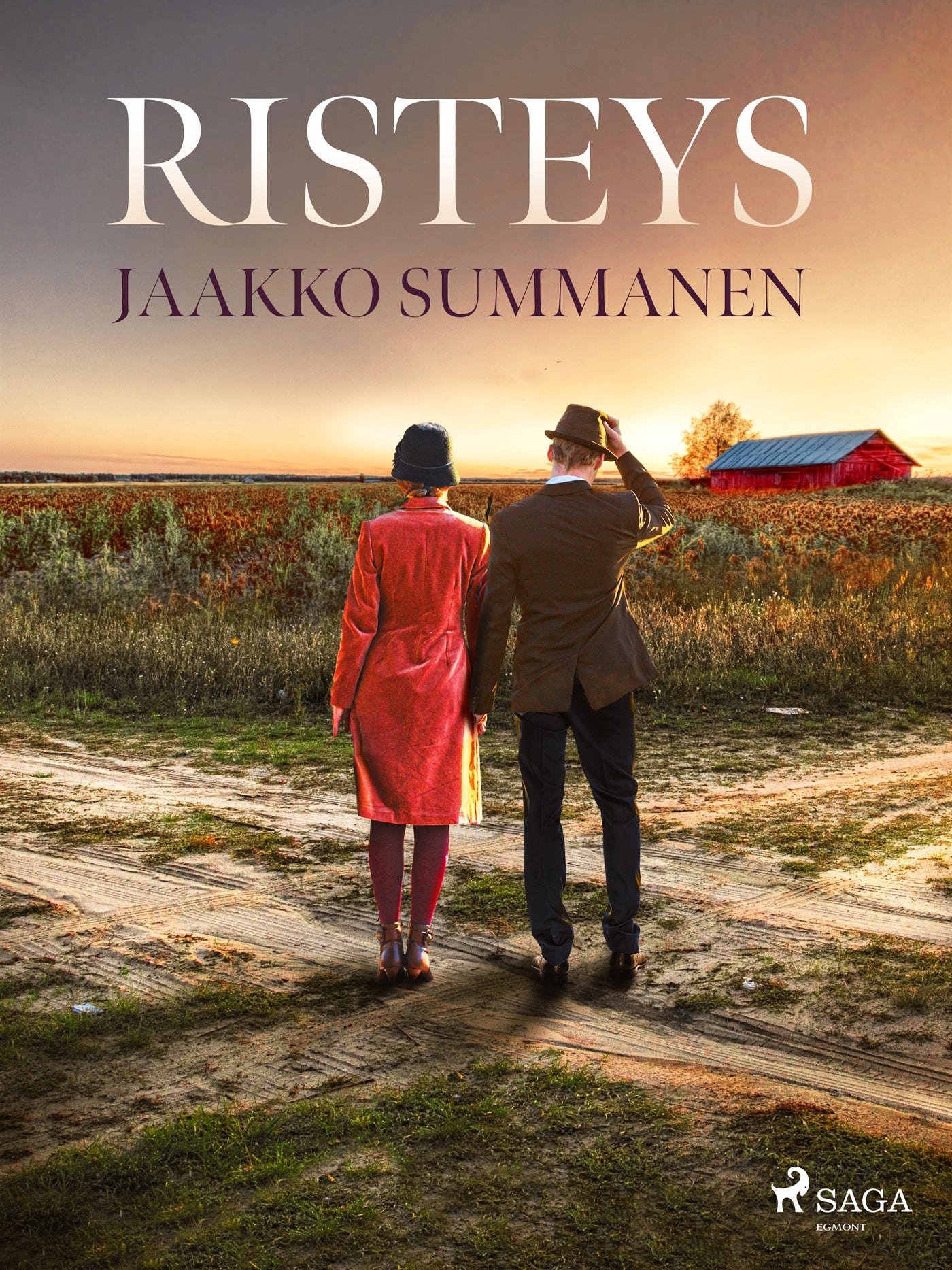 Risteys – E-bok