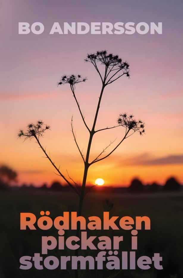 Rödhaken pickar i stormfället – E-bok