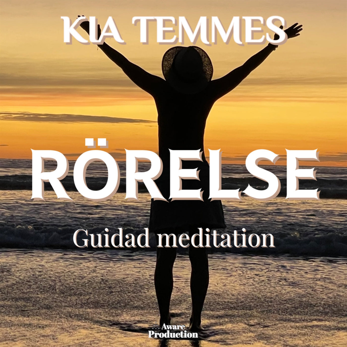 Rörelse, guidad meditation – Ljudbok