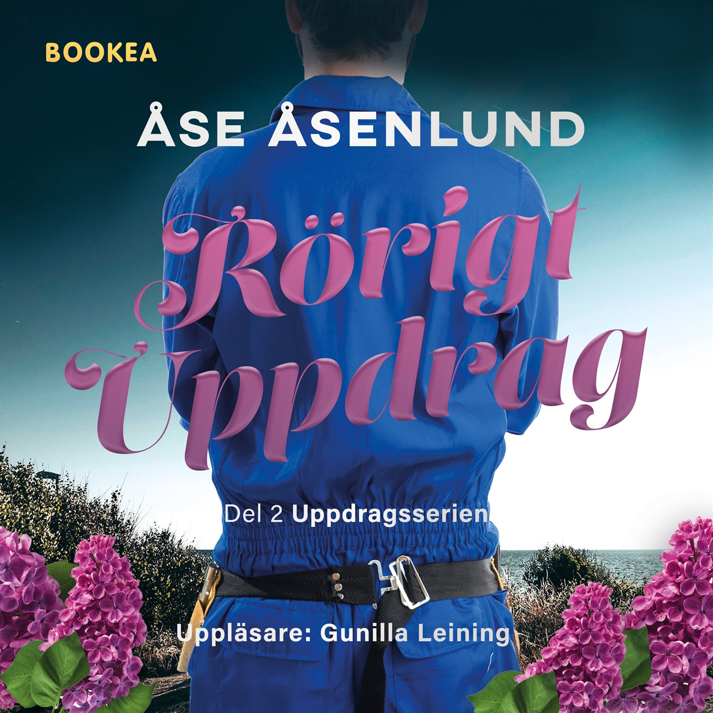 Rörigt uppdrag – Ljudbok