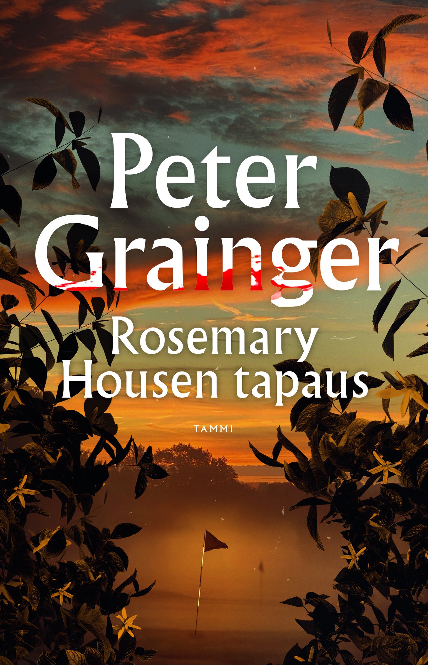Rosemary Housen tapaus – E-bok