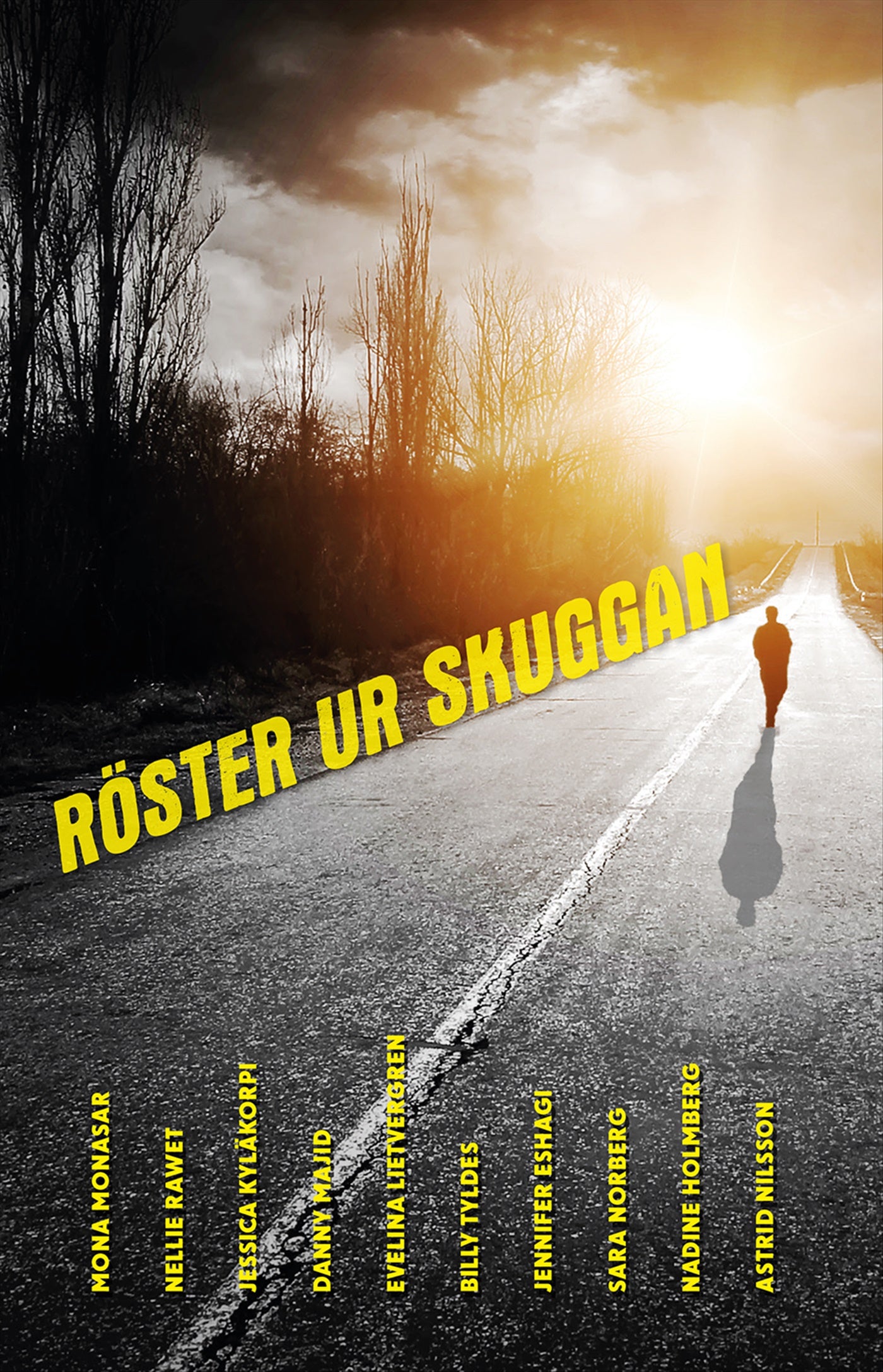 Röster ur skuggan – E-bok