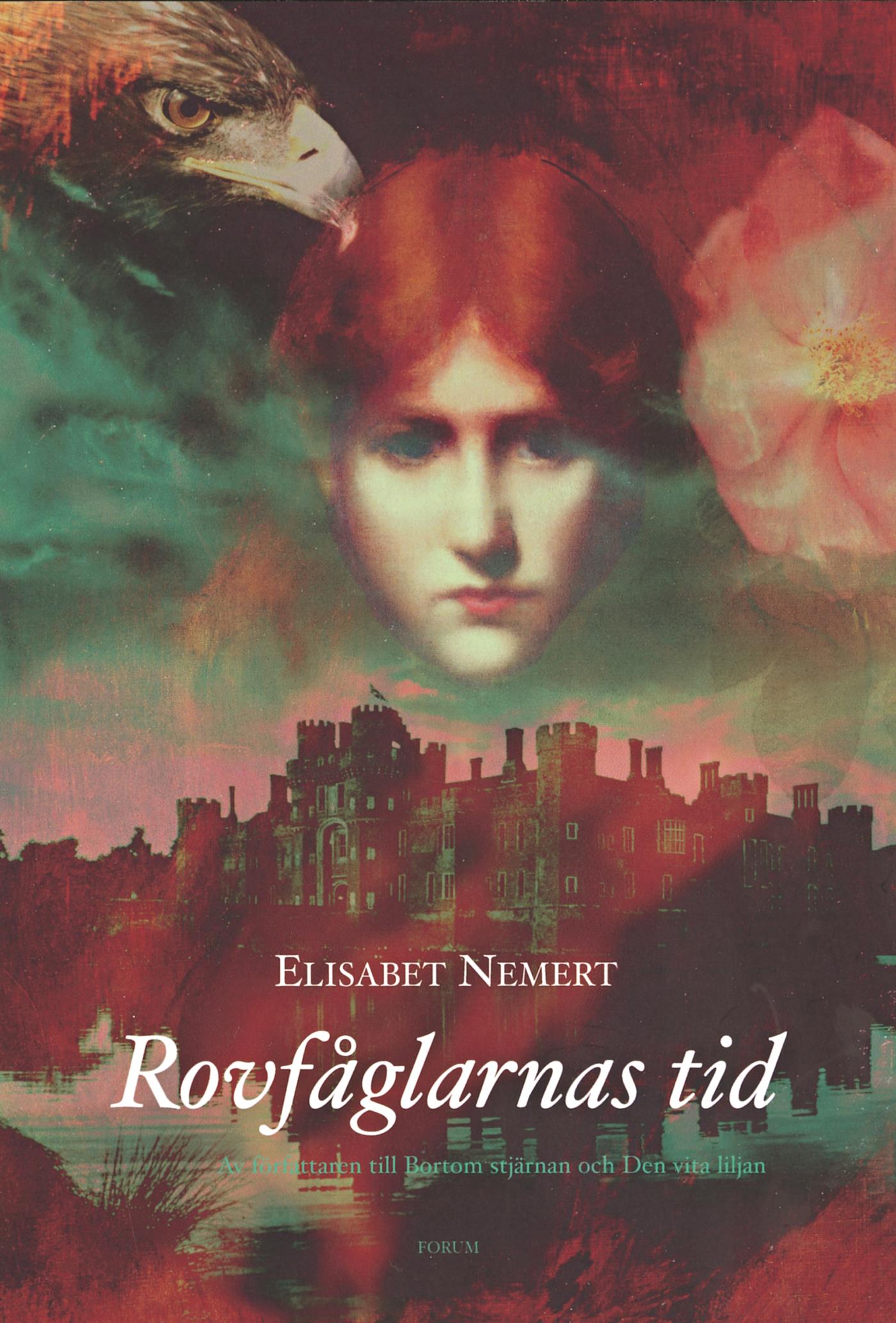 Rovfåglarnas tid – E-bok