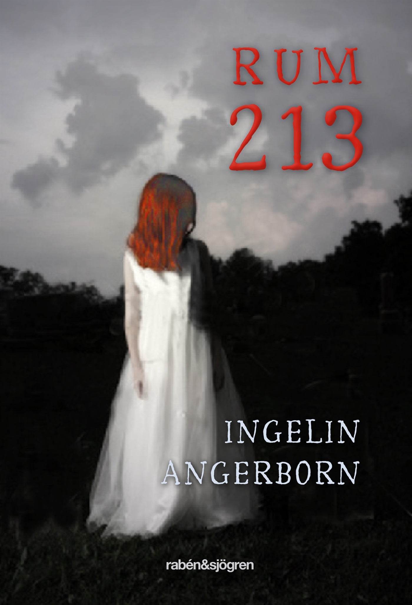 Rum 213 – E-bok