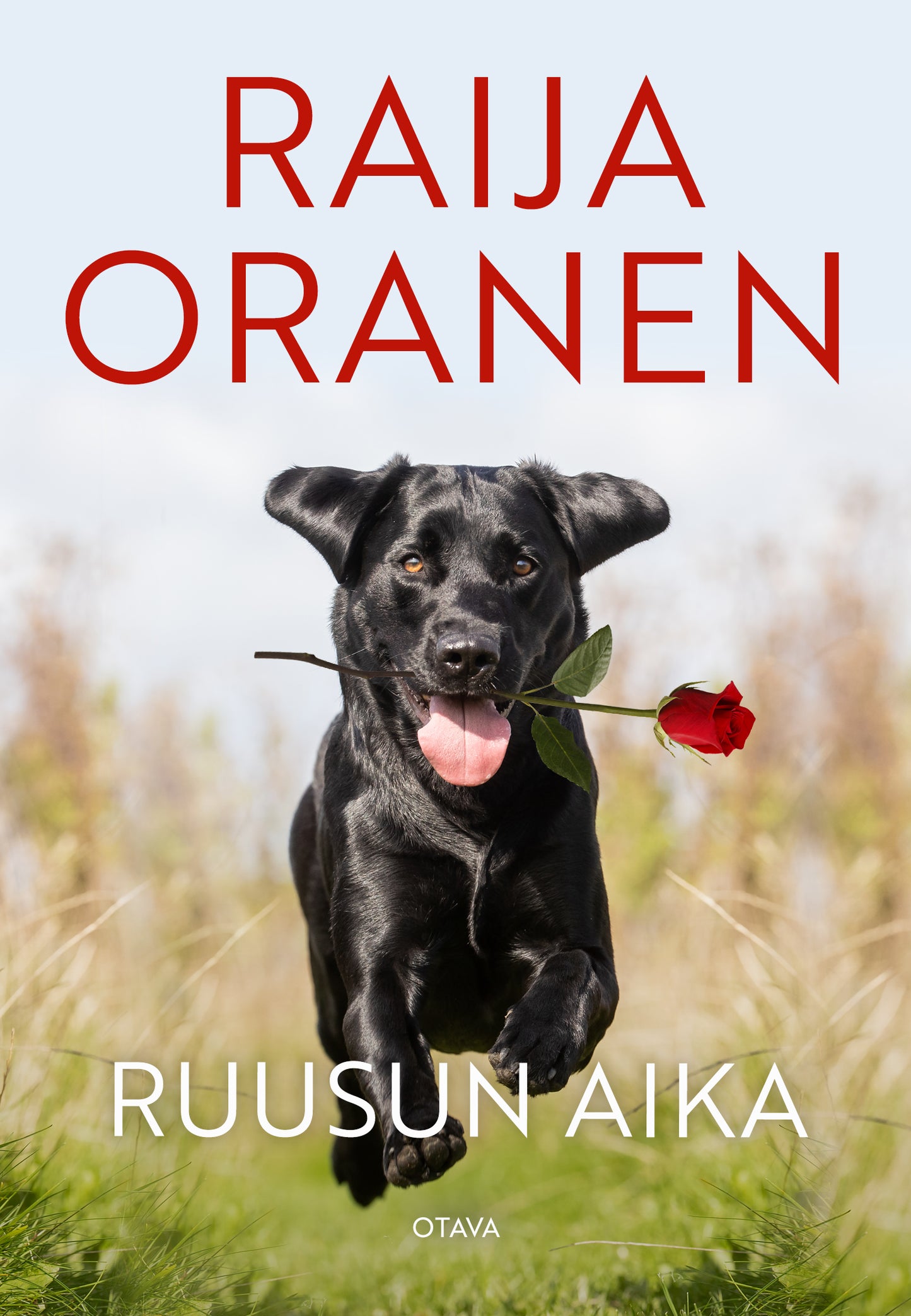 Ruusun aika – E-bok