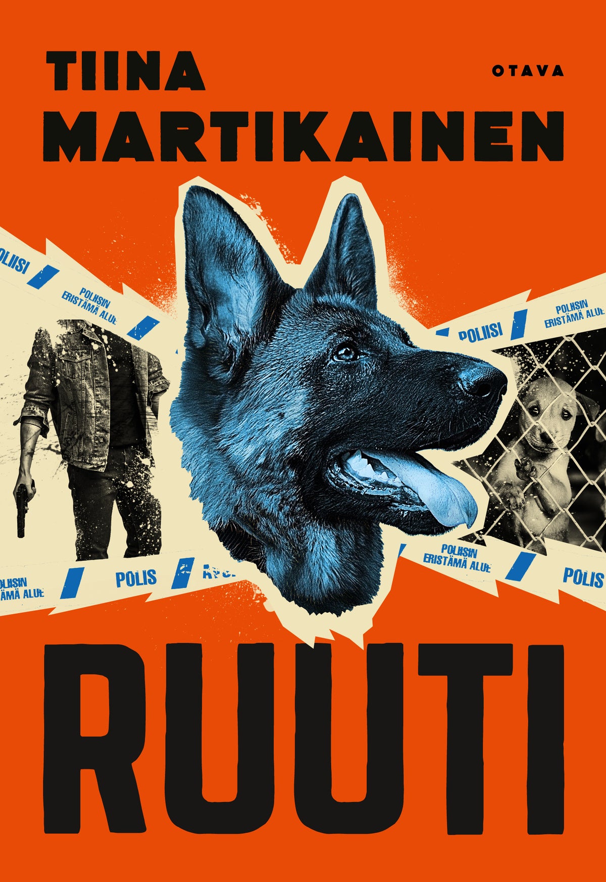 Ruuti – E-bok