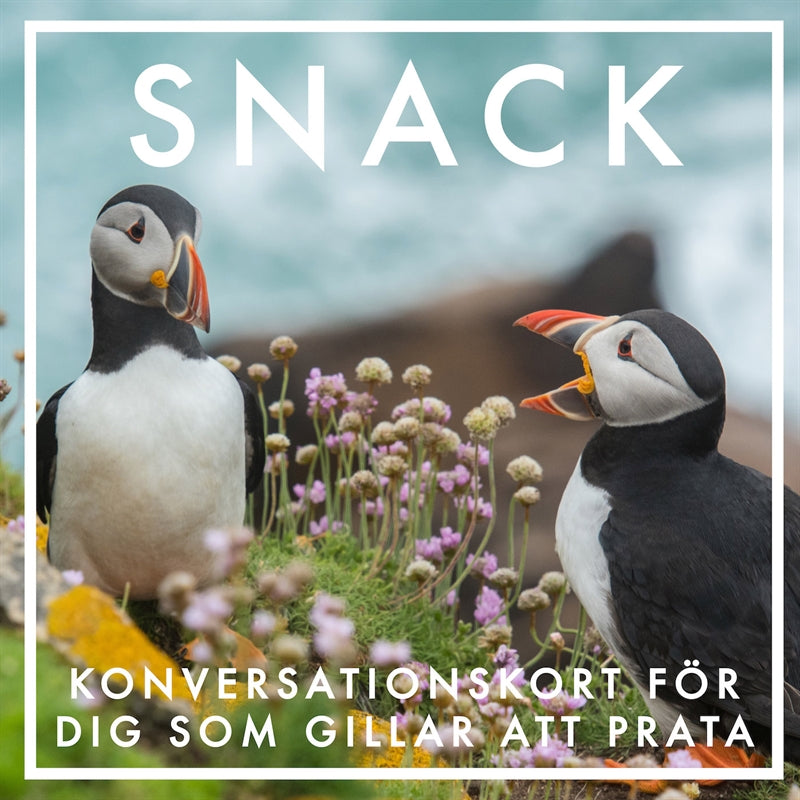 SNACK : Konversationskort för dig som gillar att prata (PDF) – E-bok