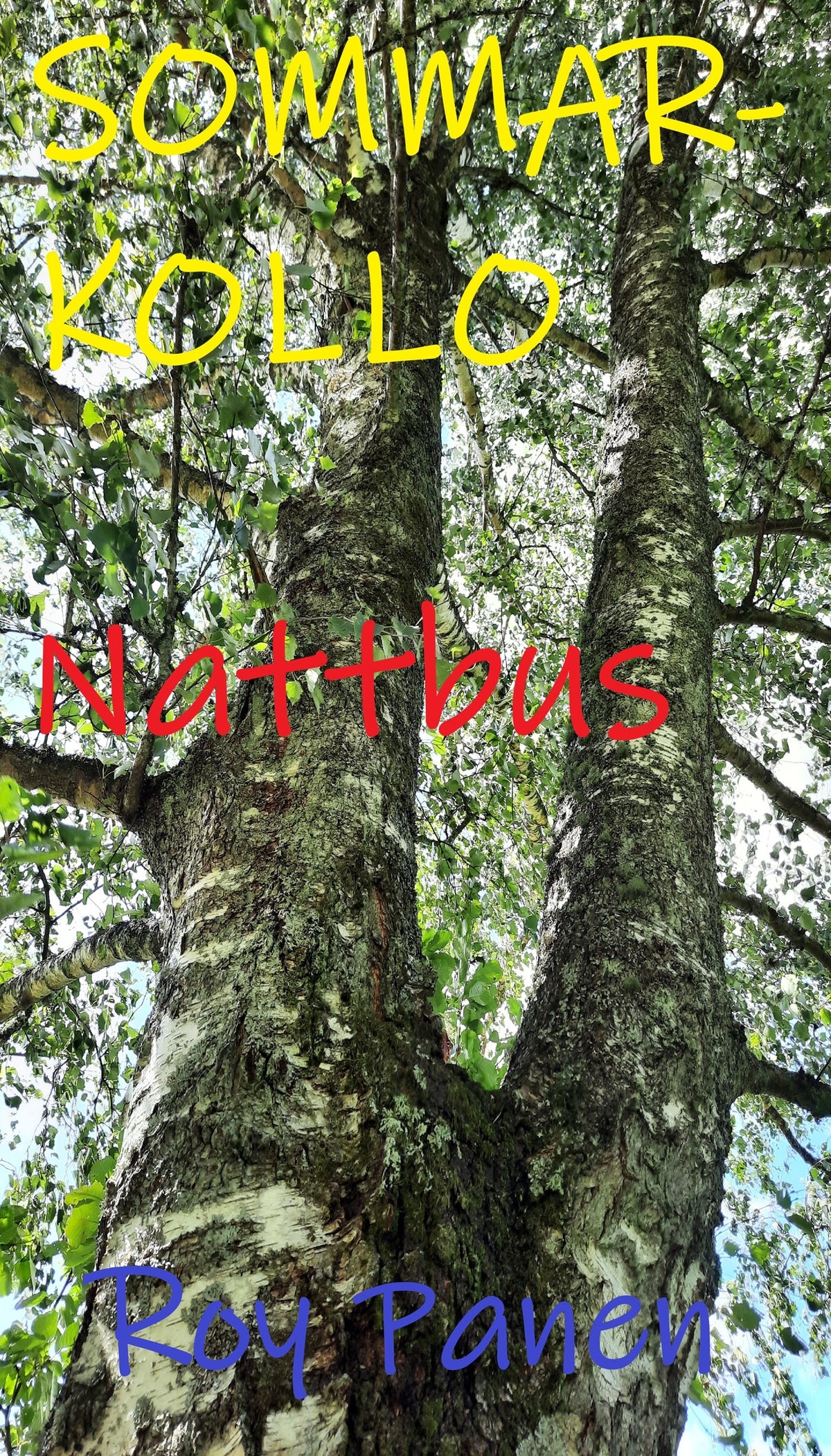 SOMMARKOLLO Nattbus (homoversion) – E-bok