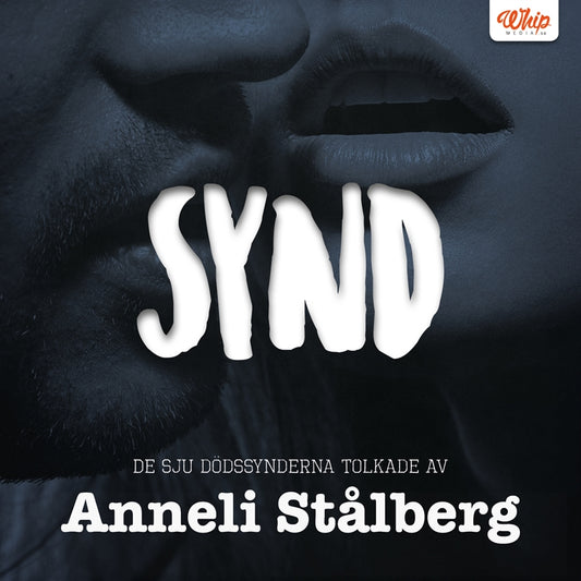 SYND - De sju dödssynderna tolkade av Anneli Stålberg – E-bok