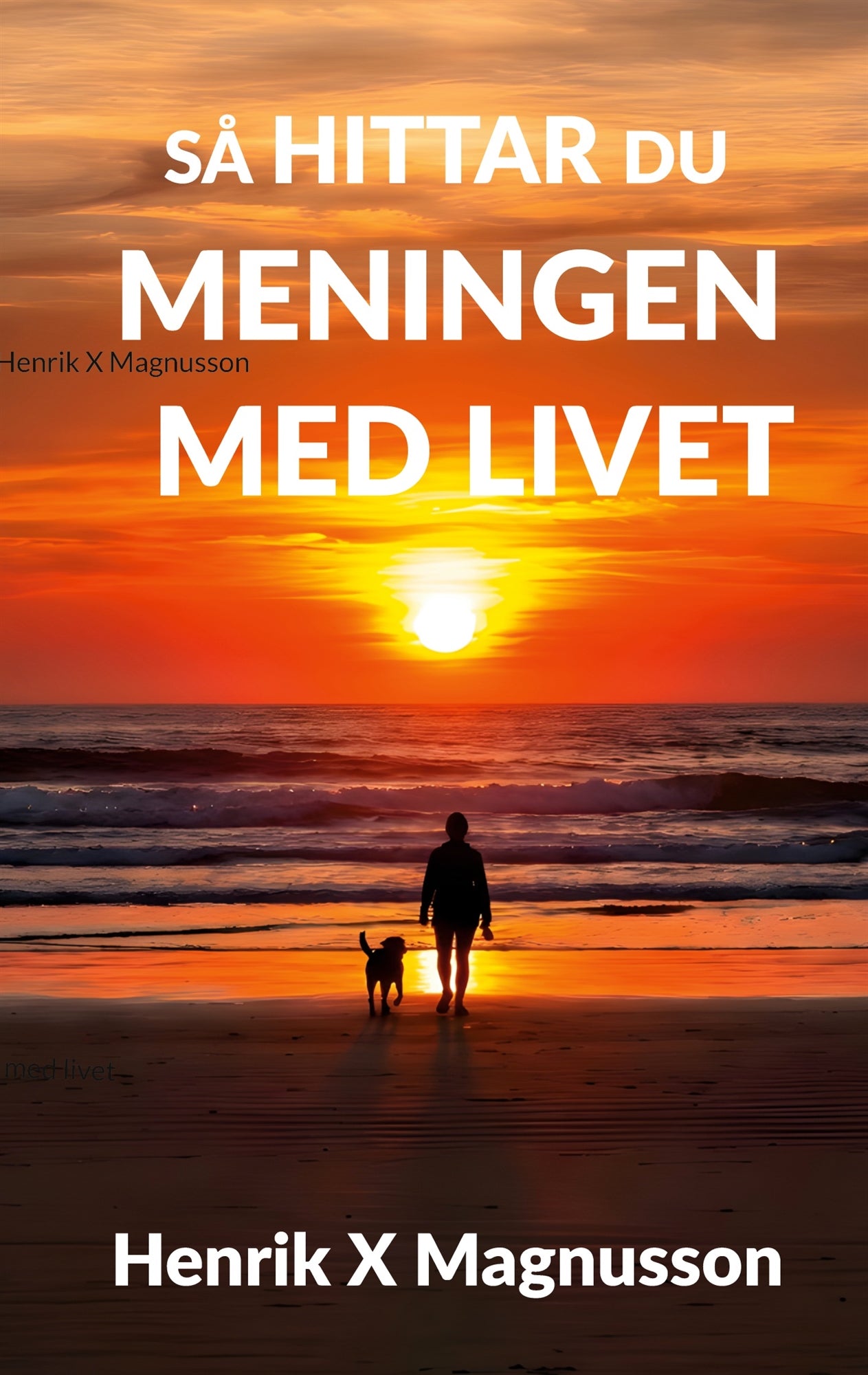 Så hittar du meningen med livet: Din guide i tillvaron – E-bok