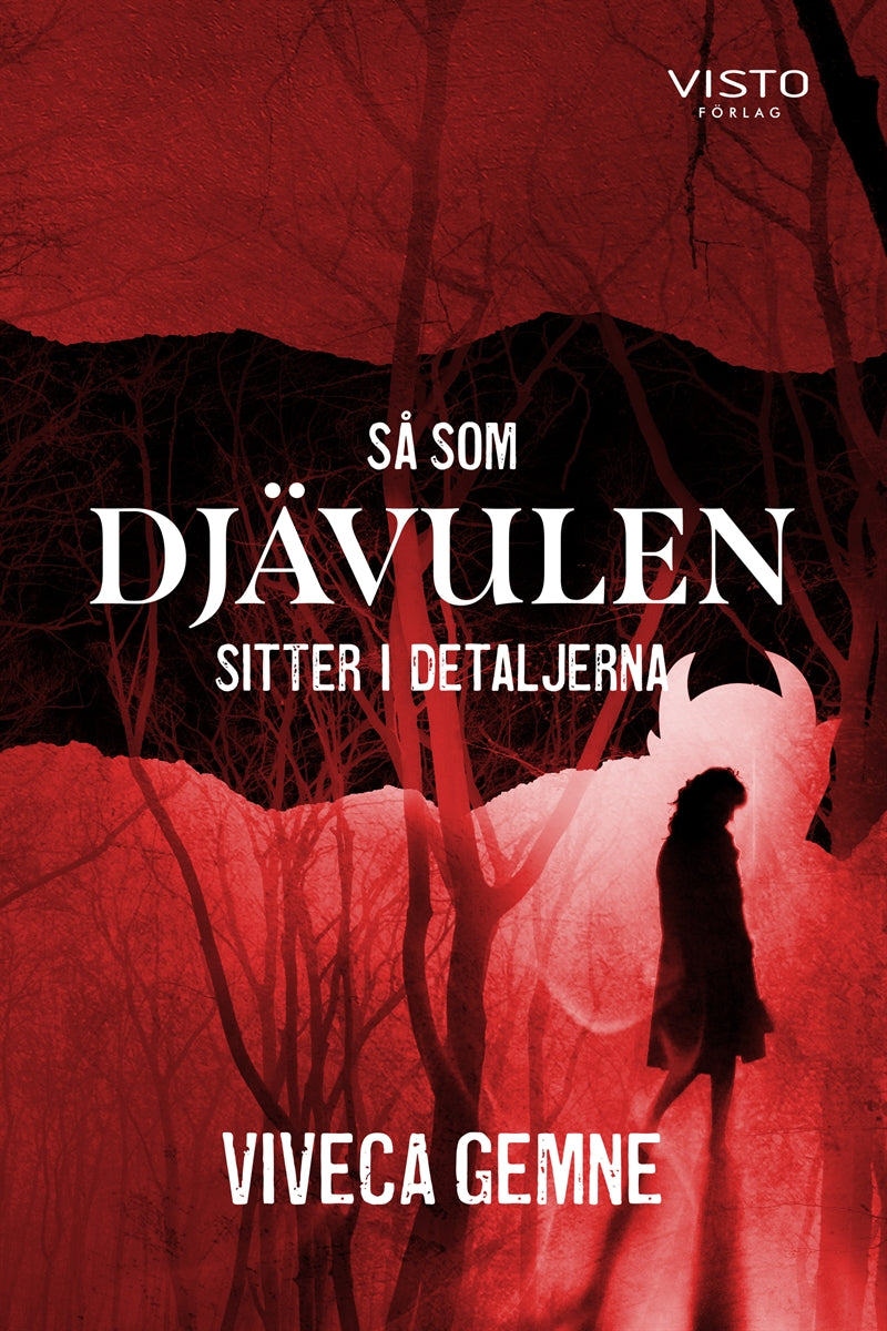 Så som Djävulen sitter i detaljerna – E-bok