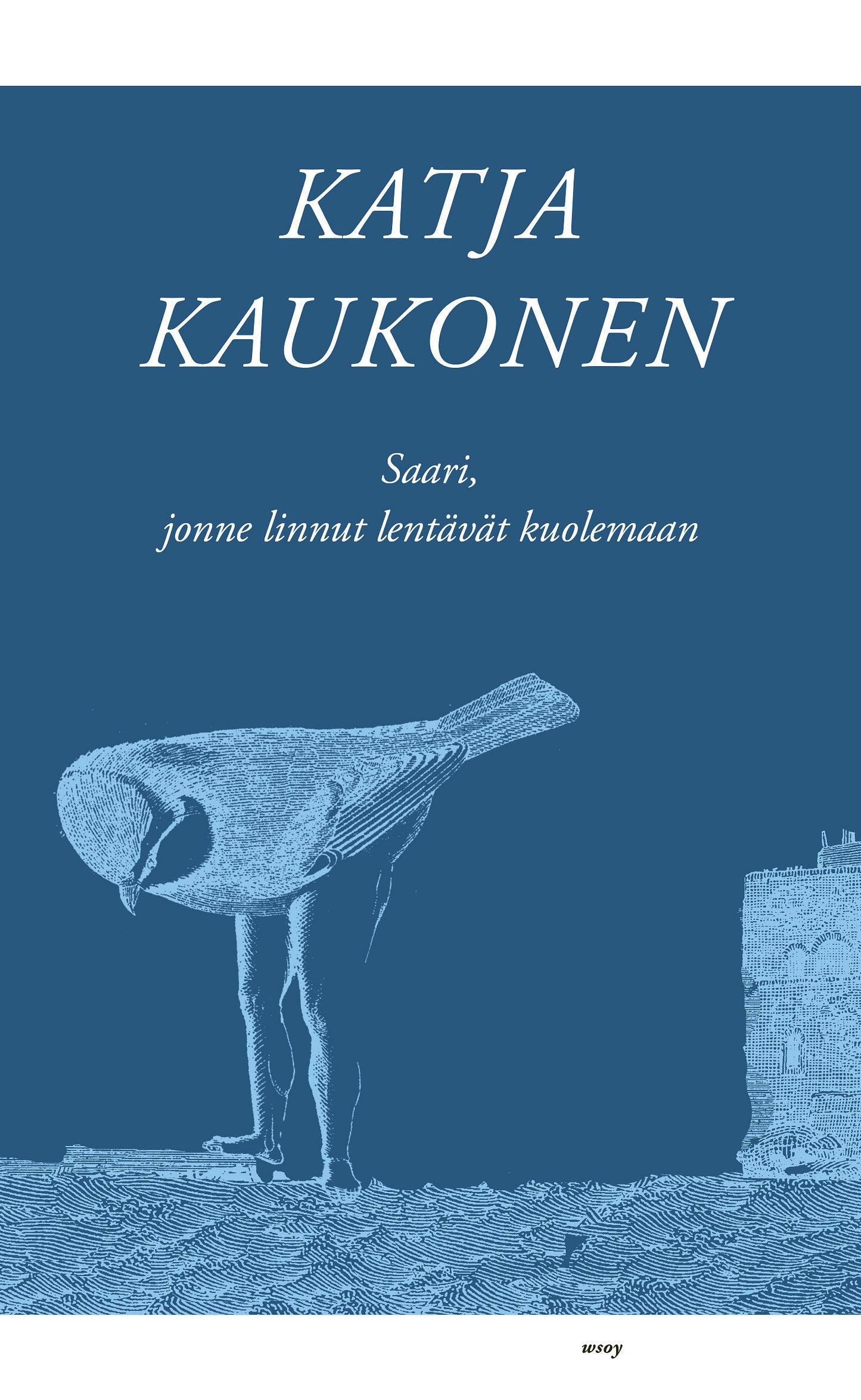 Saari, jonne linnut lentävät kuolemaan – E-bok