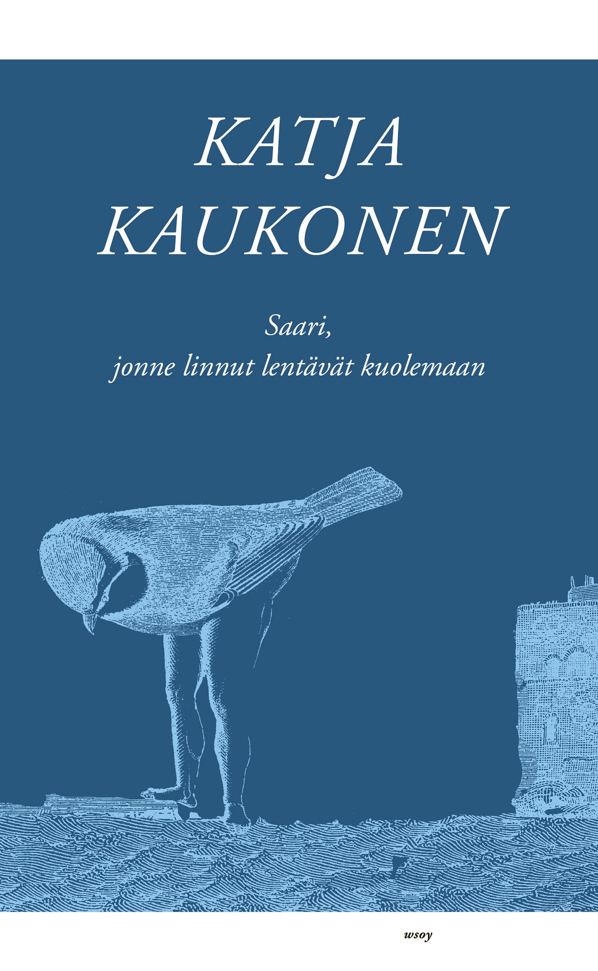 Saari, jonne linnut lentävät kuolemaan – E-bok
