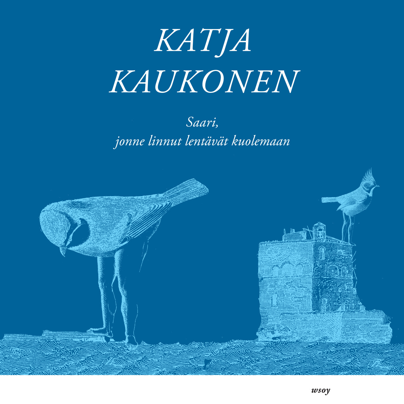 Saari, jonne linnut lentävät kuolemaan – Ljudbok