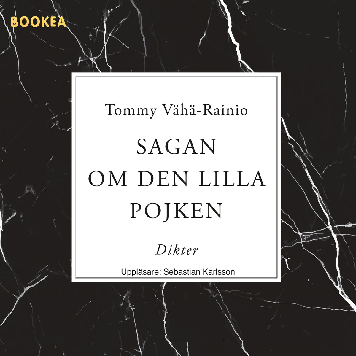 Sagan om den lilla pojken – Ljudbok