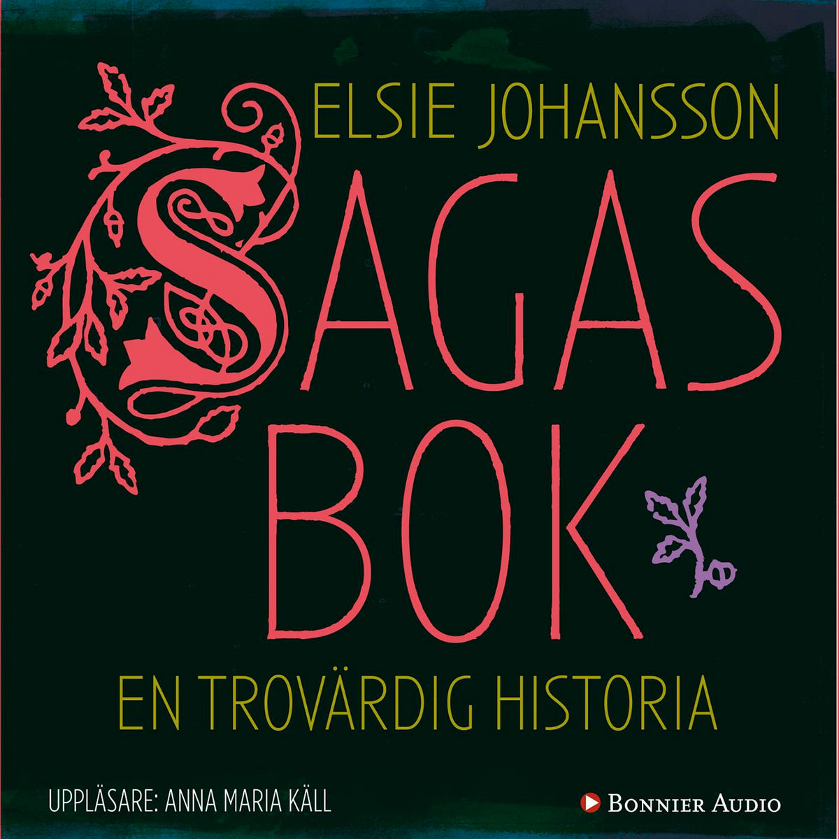 Sagas bok : en trovärdig historia – Ljudbok