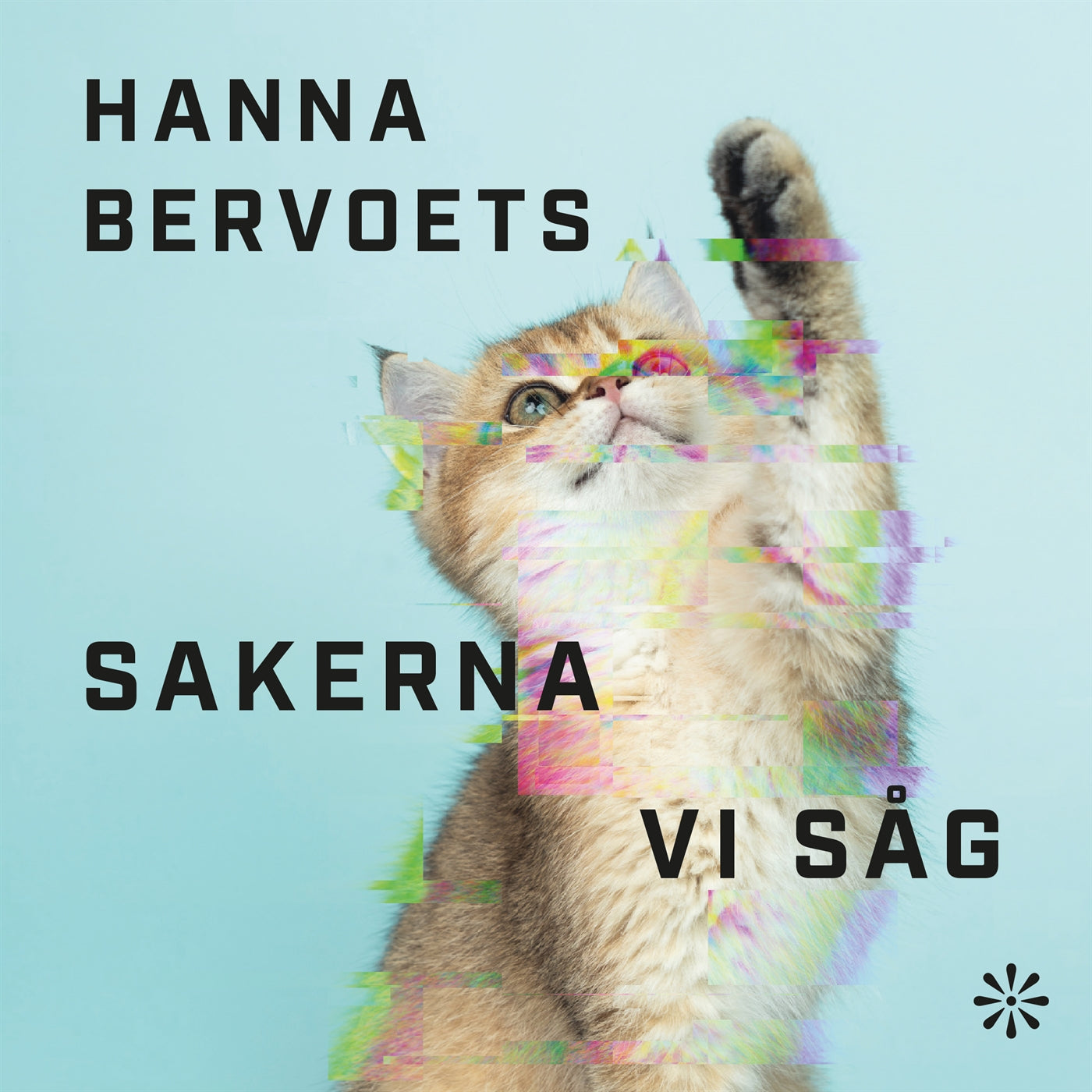 Sakerna vi såg – Ljudbok