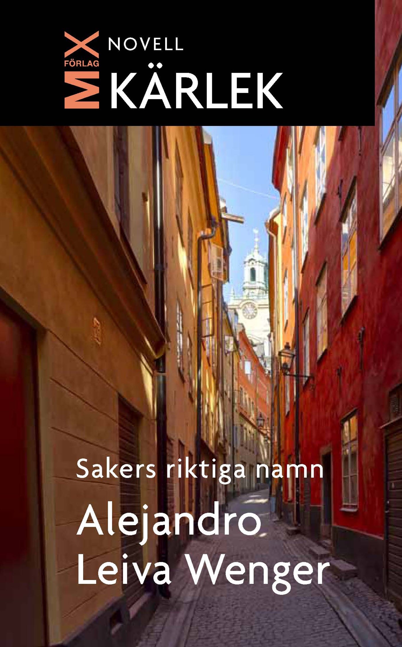 Sakers riktiga namn – E-bok