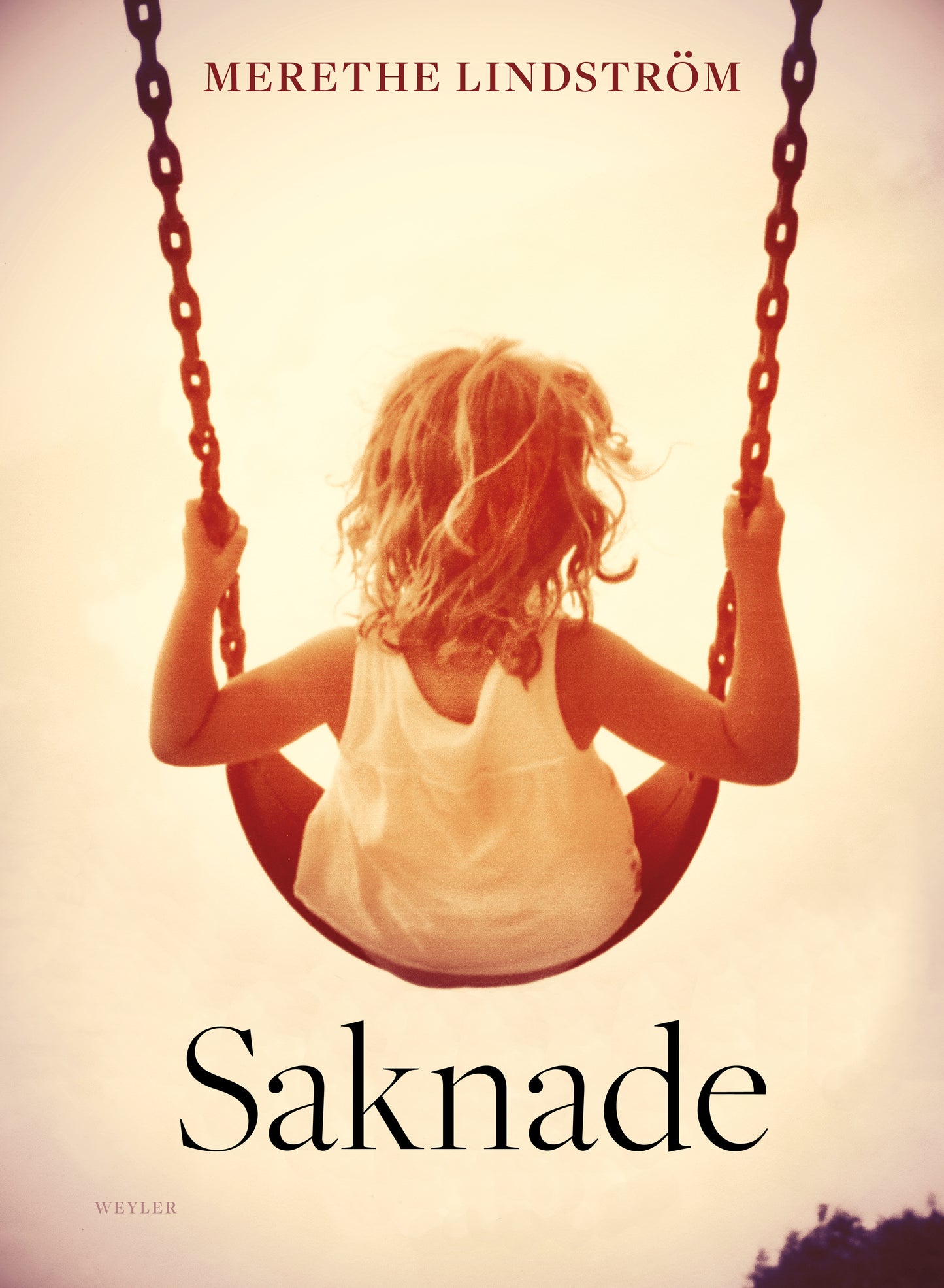 Saknade – E-bok