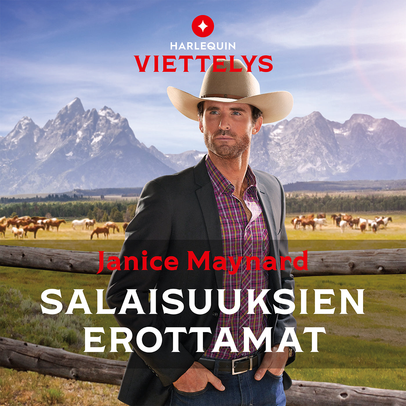 Salaisuuksien erottamat – Ljudbok