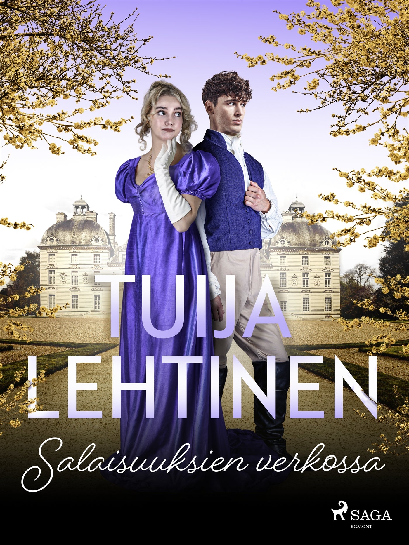 Salaisuuksien verkossa – E-bok