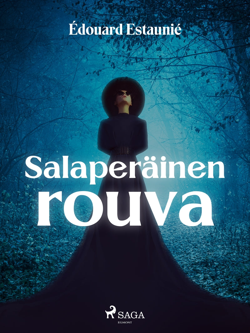 Salaperäinen rouva – E-bok