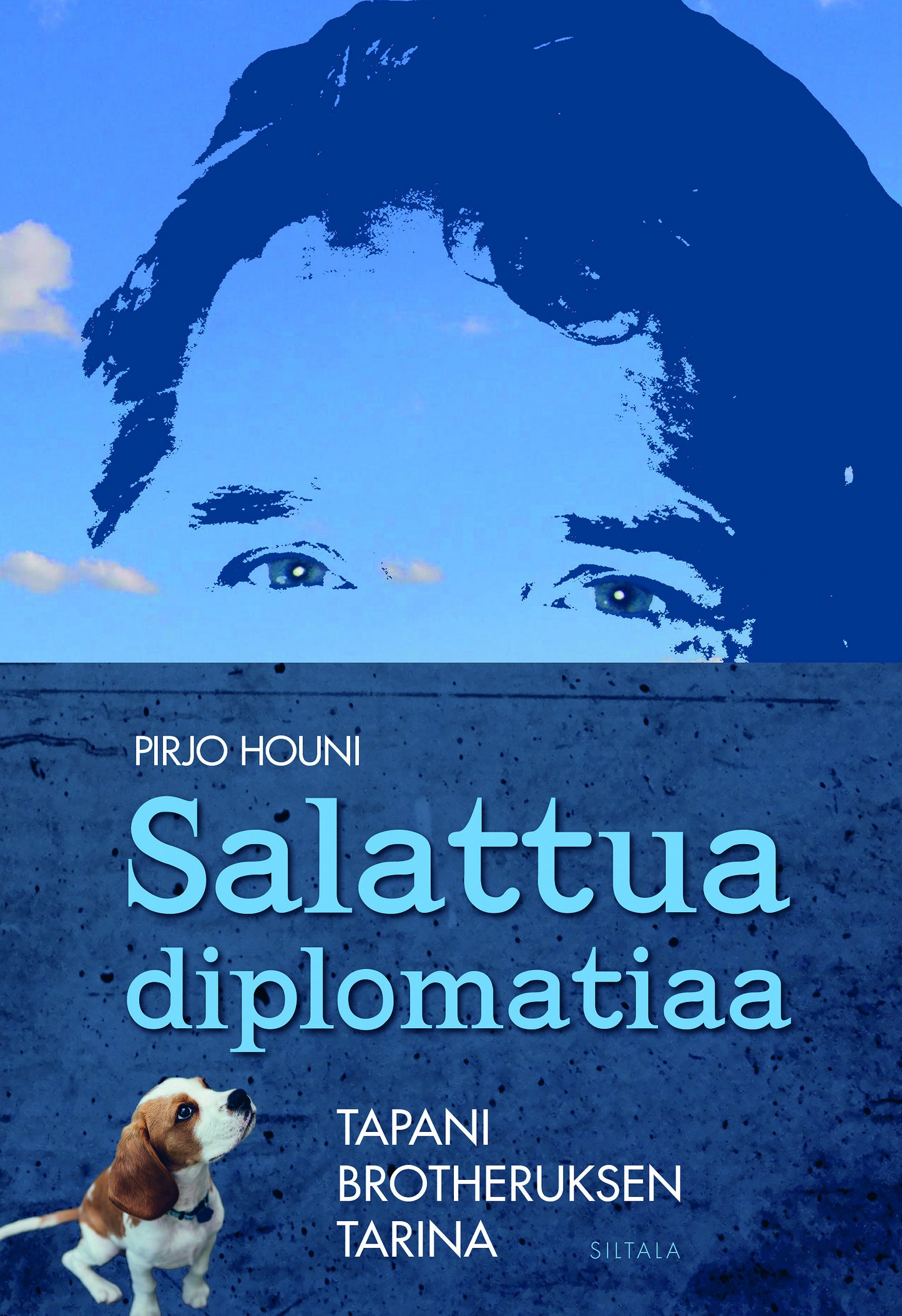 Salattua diplomatiaa – E-bok