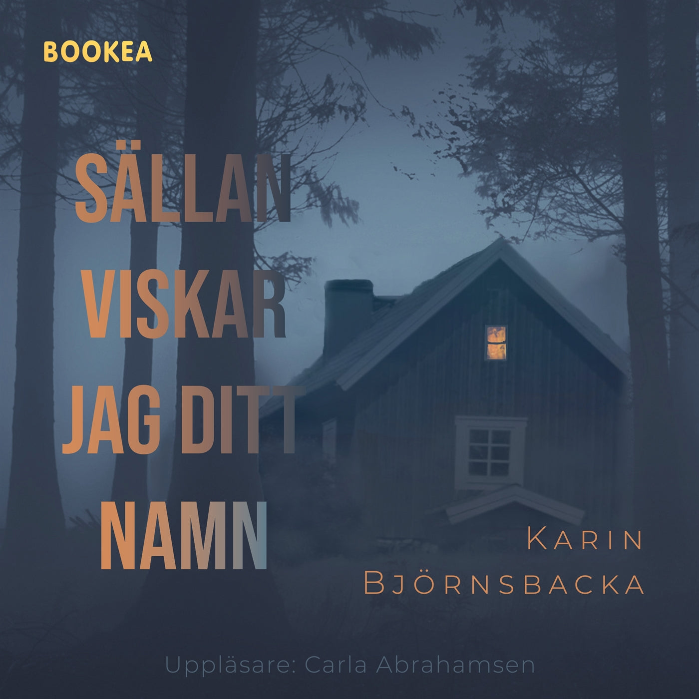 Sällan viskar jag ditt namn – Ljudbok